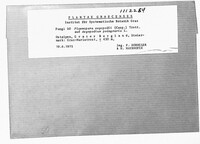 Image Associated With the Occurence